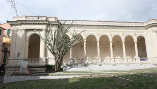 Golfo del Tigullio, Cactus secolare - Lavagna